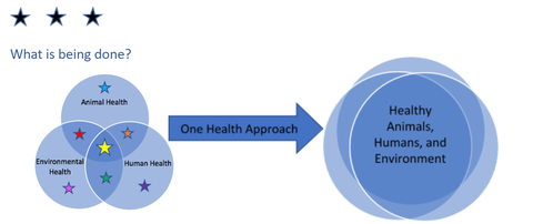 One Health Approach Diagram